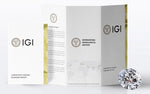 Load image into Gallery viewer, Asscher Cut IGI Certified Lab Diamond Ring, Trillion Side Stones, Elegant image 9